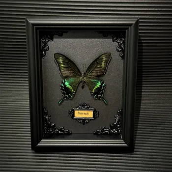 Истински образец на пеперуди в рамка, за Събиране на Подаръци за Дома, Дървена Кутия За Показване на Сенките
