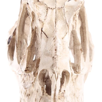 G5AA Череп на динозавър Цератозавра Изделия от смола за обучение на Модели на Скелета на Изкопаеми Зала